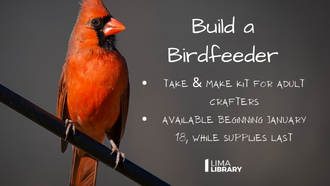 Build a Birdfeeder flyer